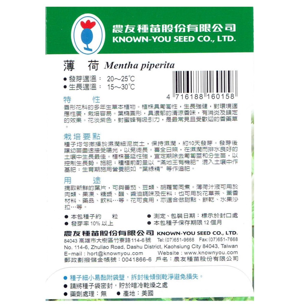 【天橙種子】薄荷種子H-015 約100粒 胡椒薄荷 香草種子 農友種苗 彩色原包裝-細節圖2