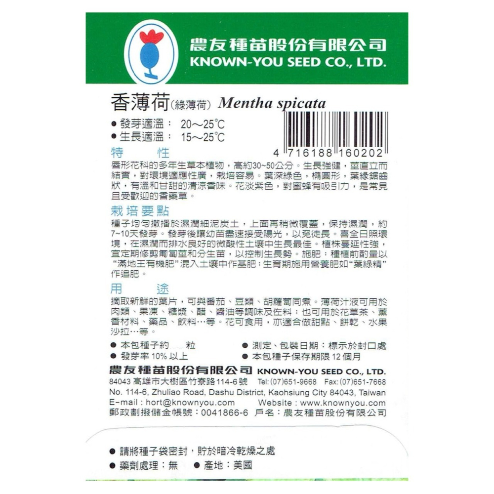 【天橙種子】香薄荷種子H-020 約300粒 綠薄荷 荷蘭薄荷 香草種子 農友種苗 彩色原包裝-細節圖2