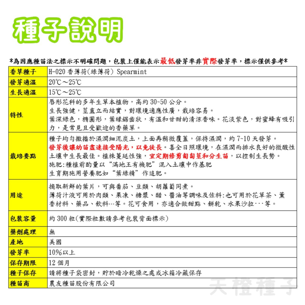 【天橙種子】香薄荷種子H-020 約300粒 綠薄荷 荷蘭薄荷 香草種子 農友種苗 彩色原包裝-細節圖3