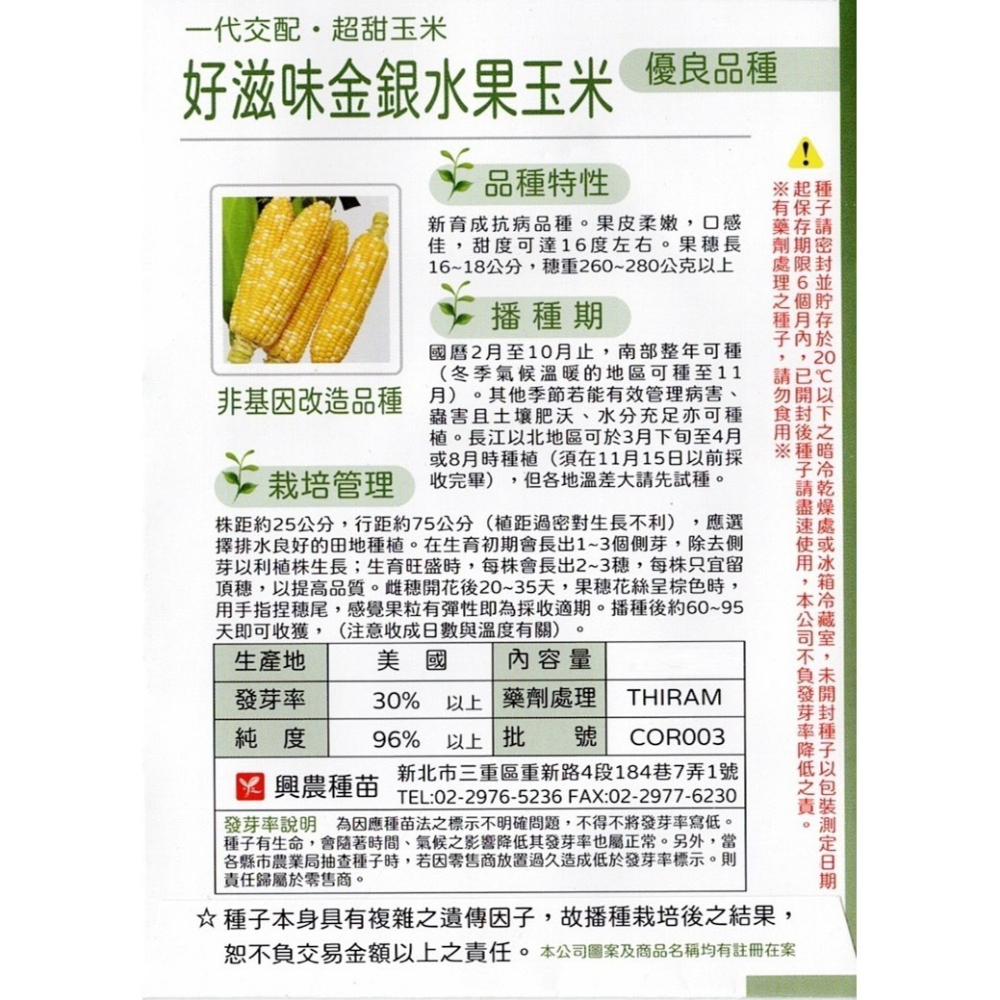 【天橙種子】好滋味金銀水果玉米種子 雙色超甜玉米 5公克(約30粒) 抗病品種 根莖類 蔬果種子 興農種苗 彩色原包裝-細節圖2