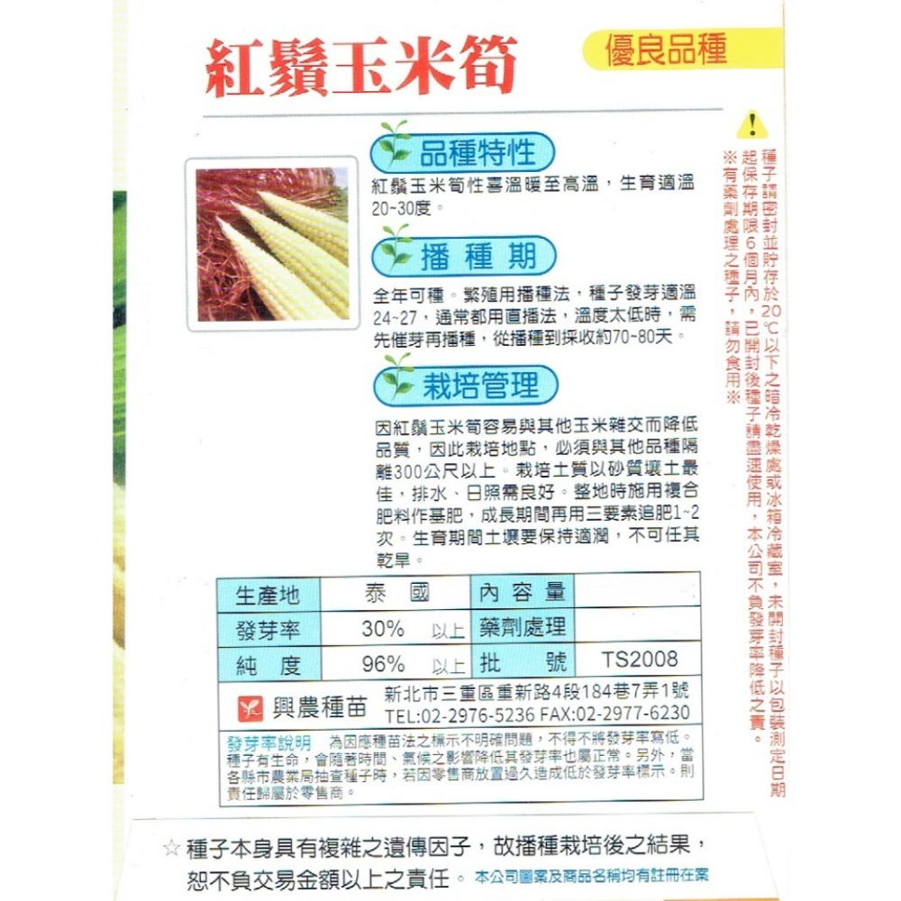 【天橙種子】紅鬚玉米筍種子 8公克(約70粒) 全年可播種 非基因改造 蔬果種子 根莖類 興農種苗 彩色原包裝-細節圖2