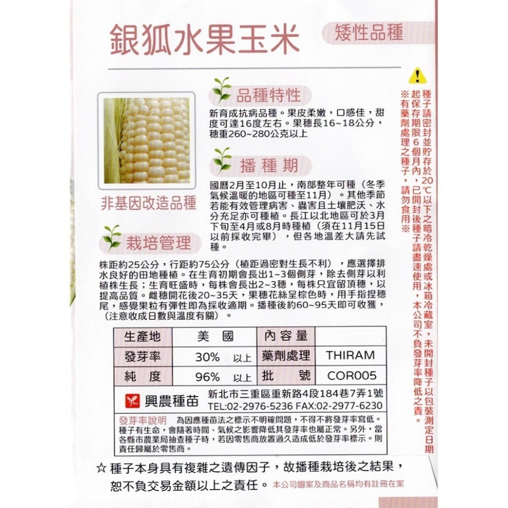 【天橙種子】銀狐水果玉米種子 超甜玉米 4公克(約40粒) 抗病品種 矮性品種 根莖類 蔬果種子 興農種苗 彩色原包裝-細節圖2