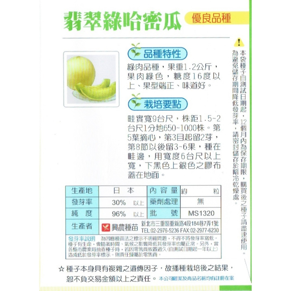 【天橙種子】翡翠玉哈密瓜種子 約10粒 綠肉品種 北部12月起可育苗 瓜果類 蔬果種子 興農種苗 彩色原包裝-細節圖2