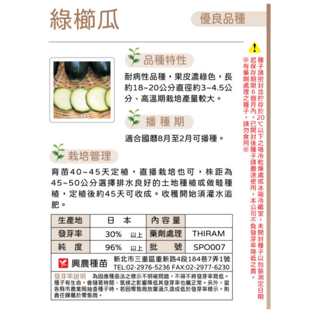 【天橙種子】綠櫛瓜種子 節瓜種子 約10粒 8~2月播種 蔬果種子 瓜果類 興農種苗 彩色原包裝-細節圖2