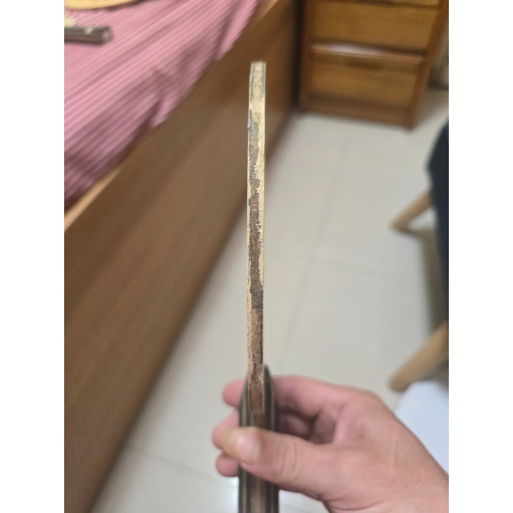 即將絕版 二手 蝴蝶 張繼科 T5000, U碼  94克 重炮 滿面細密小魚鱗紋~41-細節圖3