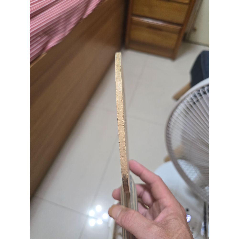 二手 蝴蝶 VISCARIA 蝴蝶王 T碼  84.4克～ 71-細節圖3