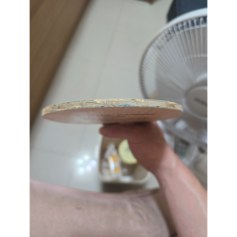 二手 蝴蝶 VISCARIA 蝴蝶王 T碼  84.4克～ 71-細節圖5