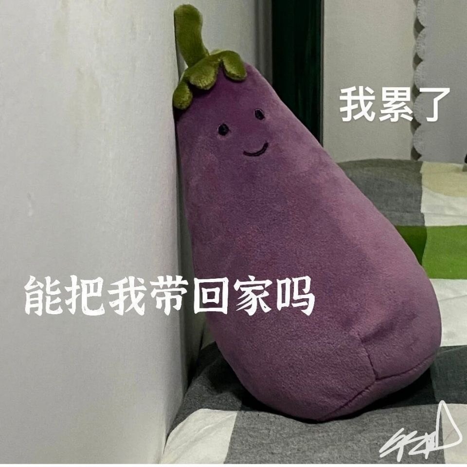 趣味蔬菜玩偶抱枕 茄子先生 絲瓜 土豆 馬鈴薯 玩偶公仔毛絨玩具 創意抱枕-細節圖8