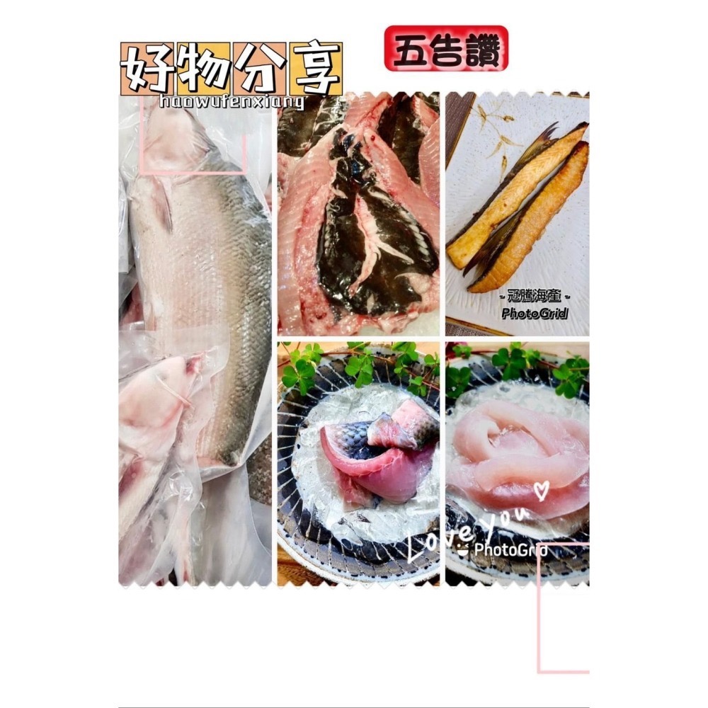 🎁龍年乘風破浪虱目魚6件組🎁-細節圖2