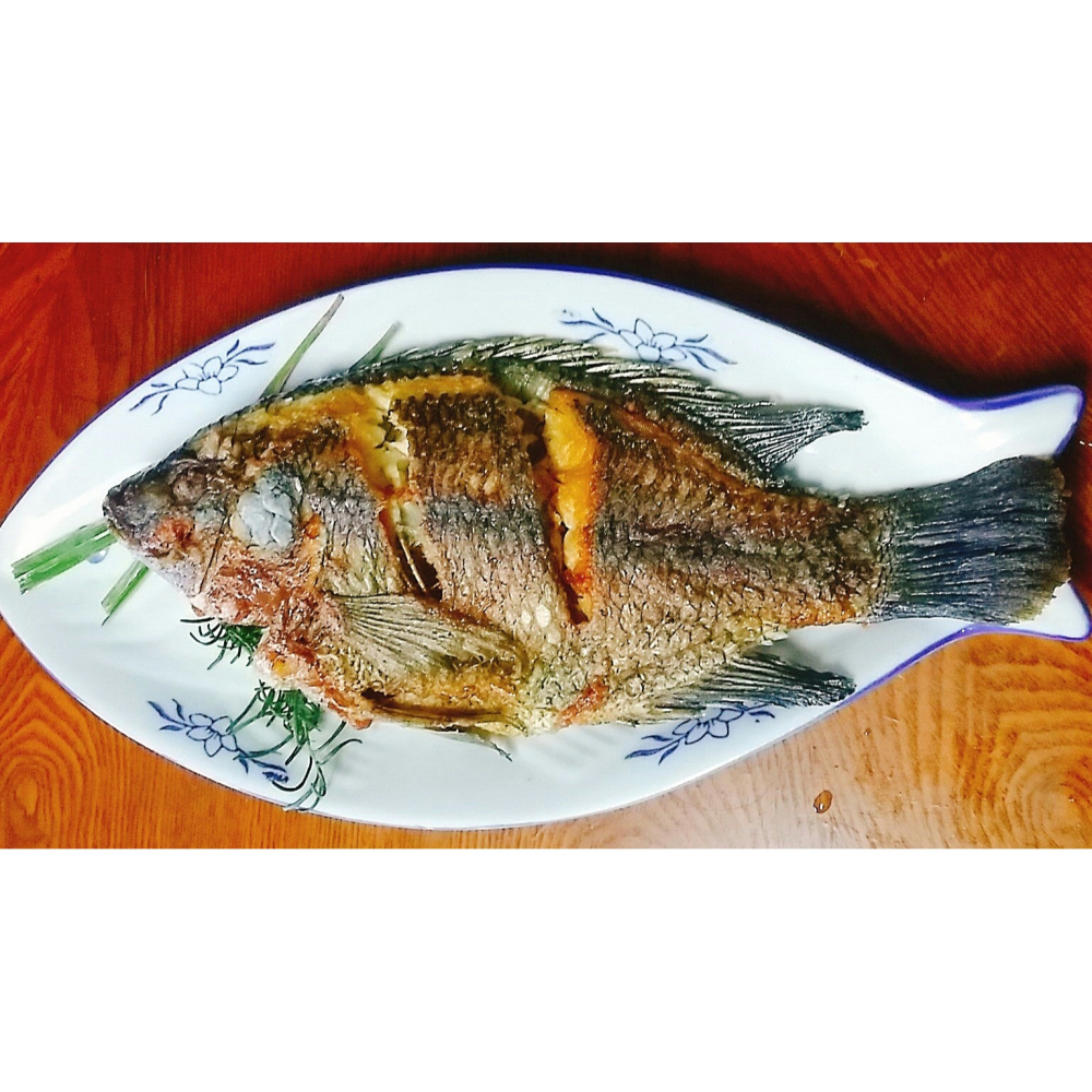 自家養殖-鹹水吳郭魚-細節圖3