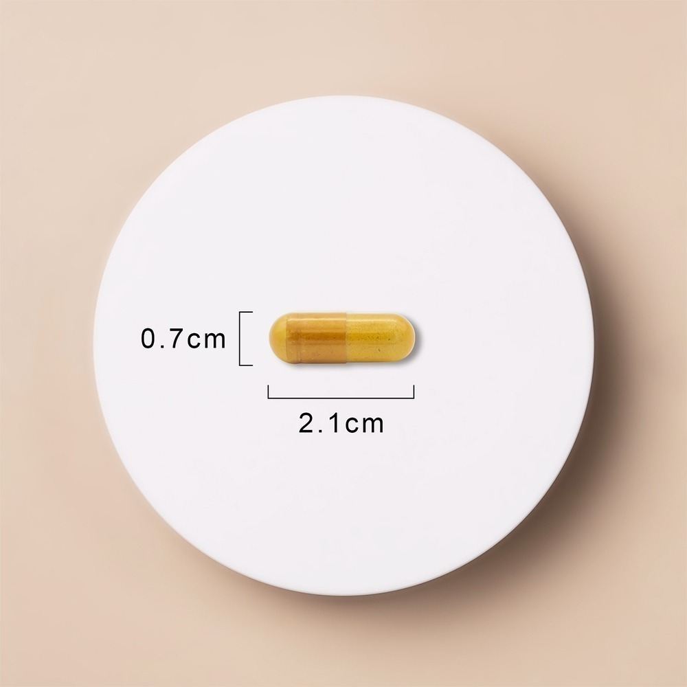 SANIYES 悅思【飲控消化組合】專利薑黃白腎豆萃取+專利秋葵綠茶萃取物(多酚)-細節圖8