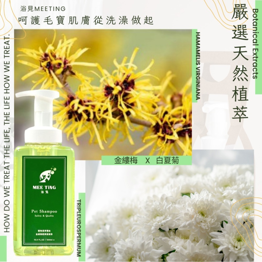 【免運】植萃低敏潔淨慕絲 500ML ｜人寵共用沐浴乳 ｜ 敏弱肌適用 洗毛精 除臭專利 不流淚配方 浴見MEETiNG-細節圖2