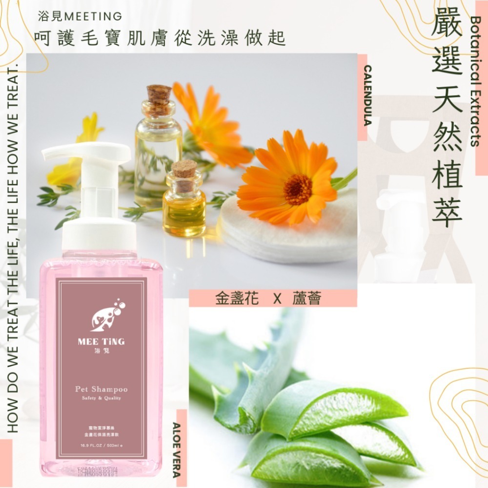 【免運】植萃低敏潔淨慕絲 500ML ｜人寵共用沐浴乳 ｜ 敏弱肌適用 洗毛精 除臭專利 不流淚配方 浴見MEETiNG-細節圖4