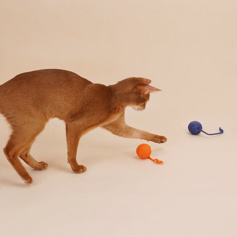 彩色逗貓劍麻球 耐咬球 貓玩具 逗貓球 寵物玩具 磨牙玩具-細節圖5