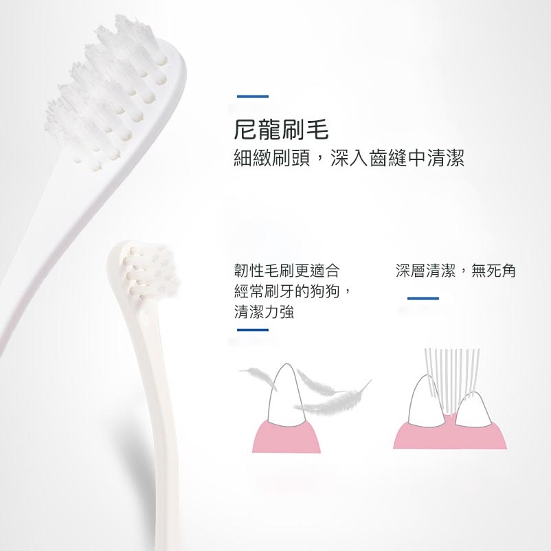 日本Mind Up寵物牙刷 刷牙 寵物 口腔清潔 寵物美容 狗用牙刷 硬毛 中、大型犬適用 中小型犬 大狗-細節圖5