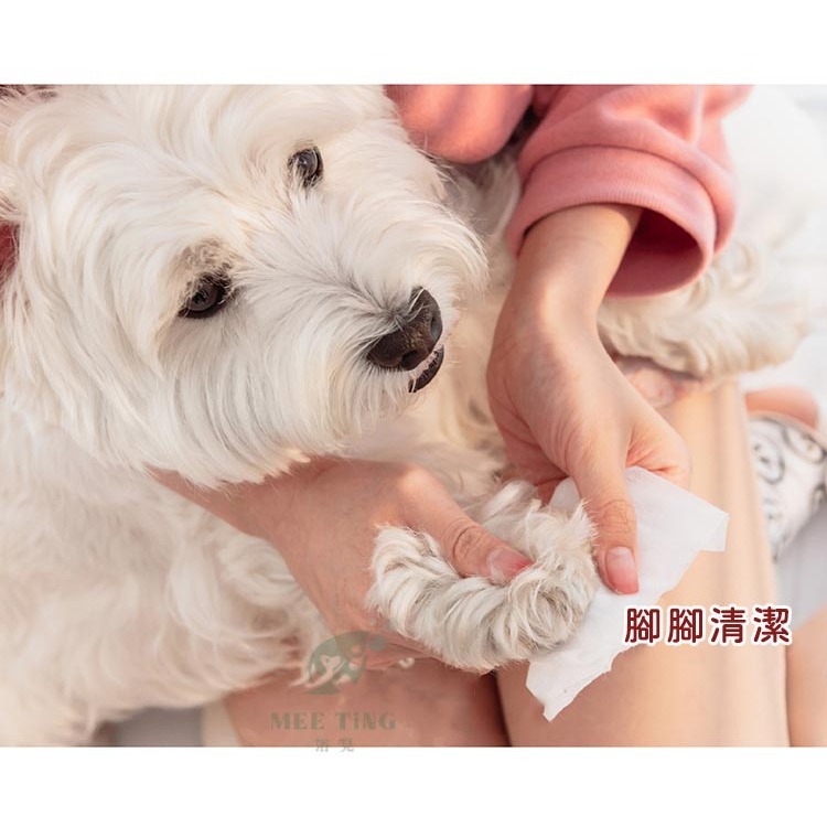 日本KOJIMA寵物濕紙巾80抽 全身清潔美容 去淚痕濕巾 腳掌清潔 洗澡濕巾 寵物美容 擦澡 除臭 清潔-細節圖6