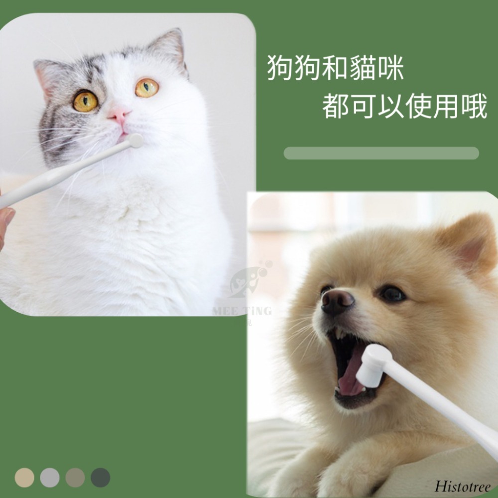 Histotree 迷你牙刷 超細刷毛 寵物牙刷 小頭 萬毛牙刷 口腔清潔  寵物美容  寵物潔牙狗貓 360度牙刷-細節圖5