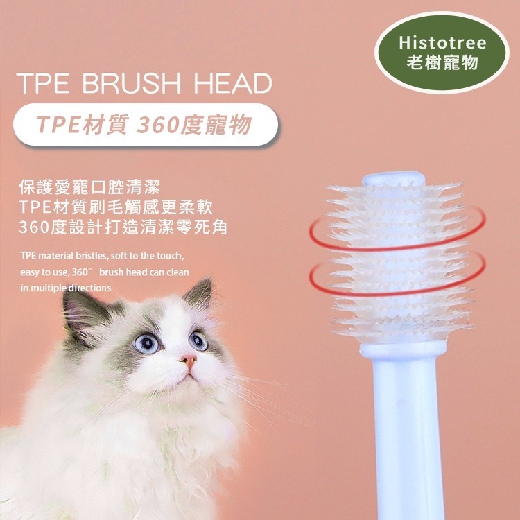 Histotree 迷你牙刷 超細刷毛 寵物牙刷 小頭 萬毛牙刷 口腔清潔  寵物美容  寵物潔牙狗貓 360度牙刷-細節圖8