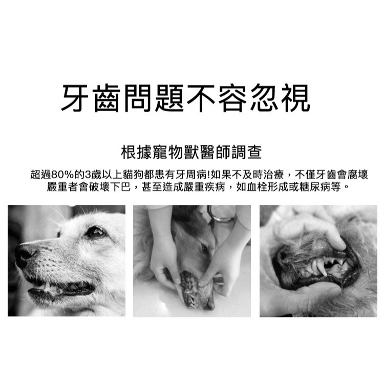 Histotree 迷你牙刷 超細刷毛 寵物牙刷 小頭 萬毛牙刷 口腔清潔  寵物美容  寵物潔牙狗貓 360度牙刷-細節圖9