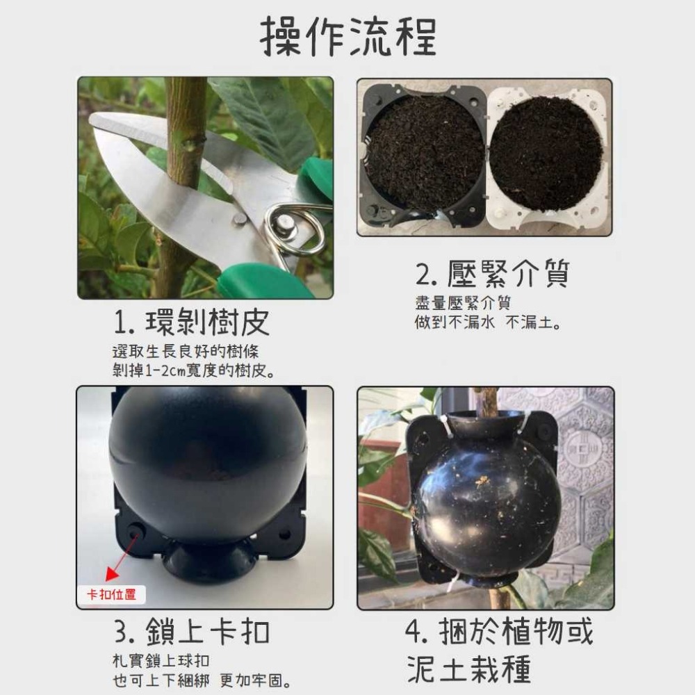 植物生根器 【台灣現貨】高壓繁殖 快速生根 植物嫁接 樹木園藝 繁殖盒 繁殖球 嫁接盒 生根器植物嫁接盆栽嫁接-細節圖4