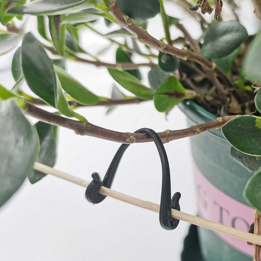 園藝盆栽勾線 植物勾線 紮線 固定線 瓜果植物固定夾 蔬菜番茄藤蔓類植物 快速卡扣 園藝用品 菜園蔬菜植物【P0553】-細節圖5