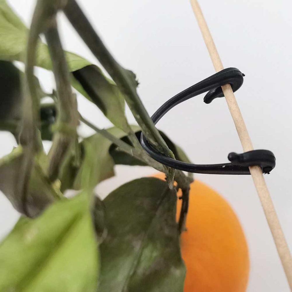 園藝盆栽勾線 植物勾線 紮線 固定線 瓜果植物固定夾 蔬菜番茄藤蔓類植物 快速卡扣 園藝用品 菜園蔬菜植物【P0553】-細節圖6