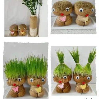 長草娃娃【台灣賣家】 速耕草娃娃🌱室內植物  療癒小物 創意草頭娃娃 迷你好養青草可愛辦公室 桌面綠植盆栽 兒童禮物-細節圖7