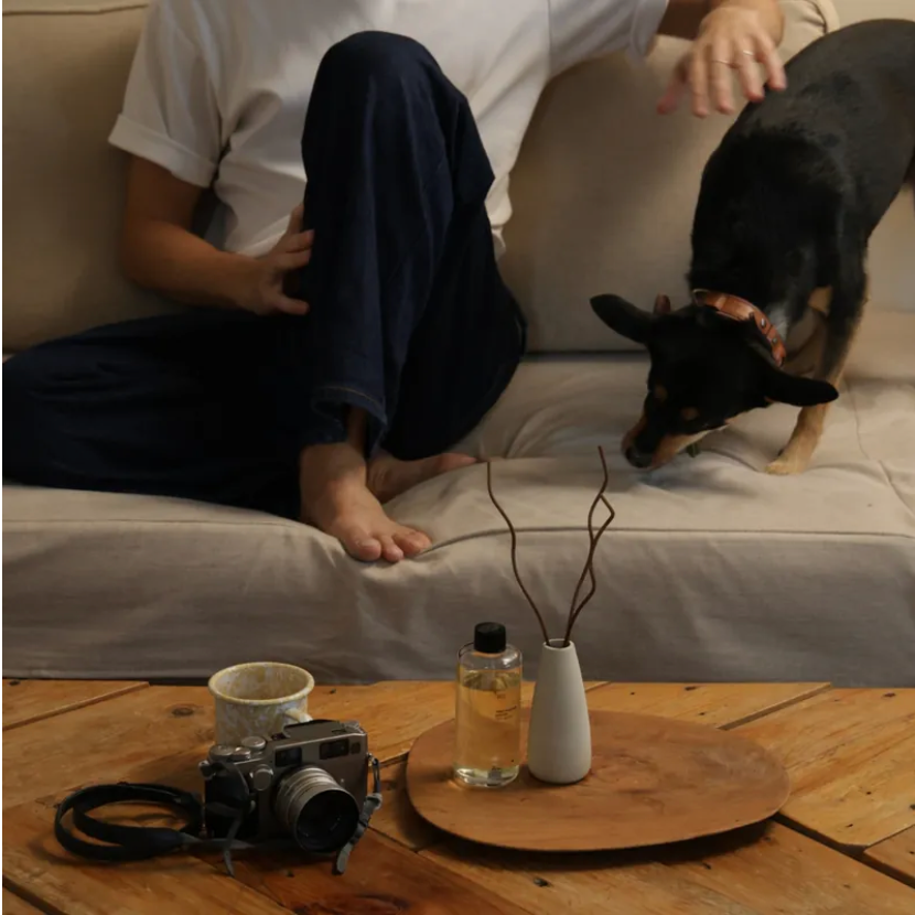 仙人掌哥 Ran 冉 礦物油室內擴香 擴香 室內 廣藿香沉香木 冷杉琥珀 檜木鳶尾根 香氛 法國香氛 室內芳香-細節圖10