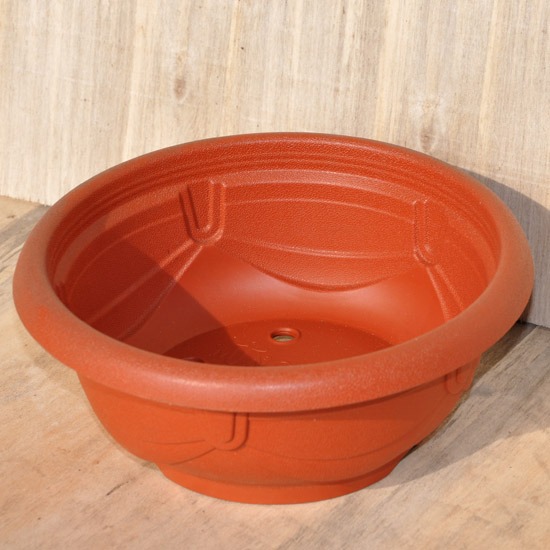 歐洲淺盆｜6寸｜無孔/有孔-細節圖2