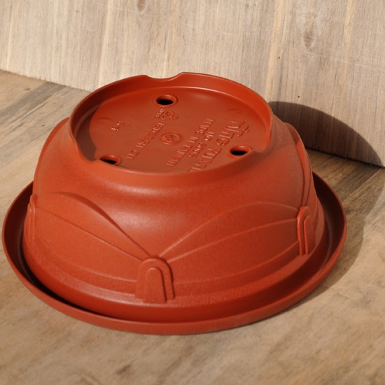 歐洲淺盆｜6寸｜無孔/有孔-細節圖3