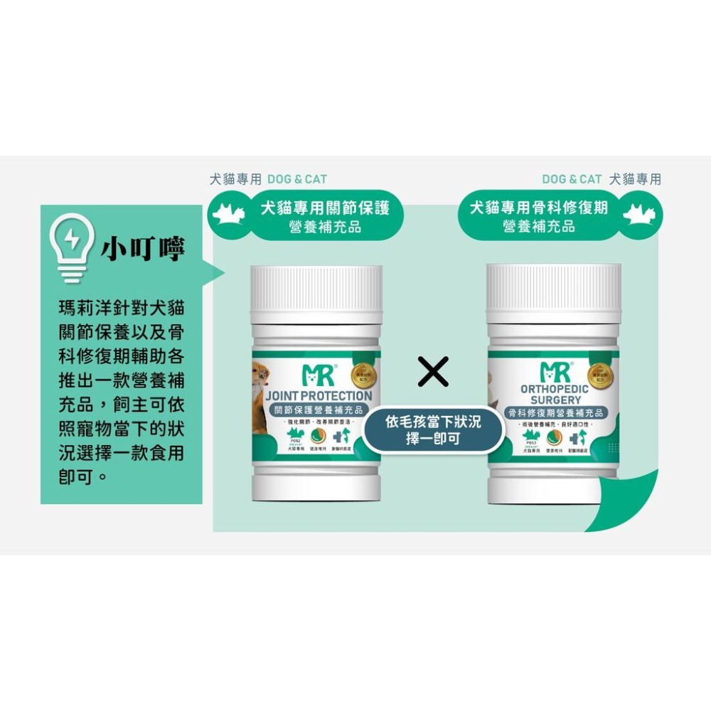 瑪莉洋-犬貓用骨科修復期營養補充品 100g 獸醫師強力推薦 寵物骨科日常保養-細節圖4