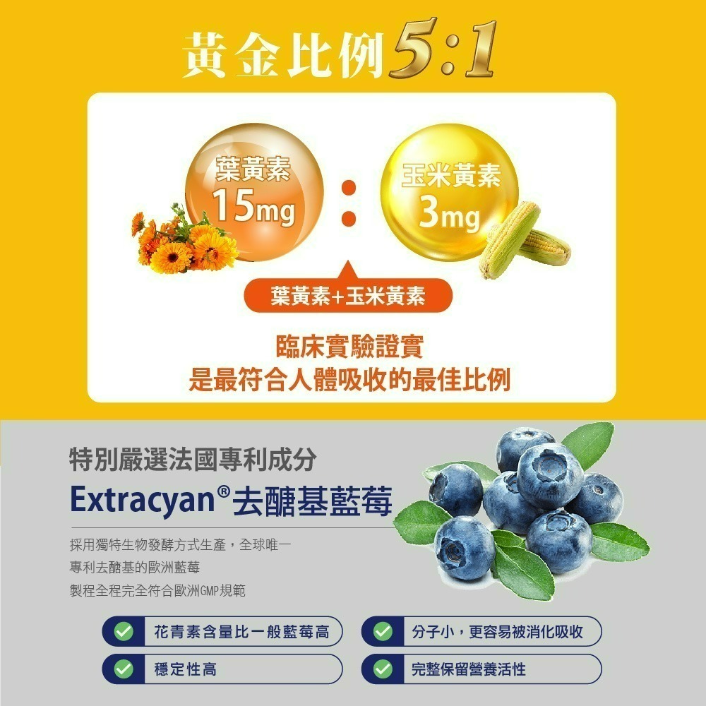 【Bioline 星譜生技】Go晶明_特添去醣基歐洲藍莓1盒(30錠/盒)〔OMEGA3.KEMIN葉黃素.玉米黃素〕-細節圖5