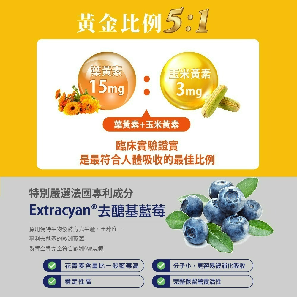 【Bioline 星譜生技】Go晶明_特添去醣基歐洲藍莓4盒(30錠/盒)〔OMEGA3.KEMIN葉黃素.玉米黃素〕-細節圖5