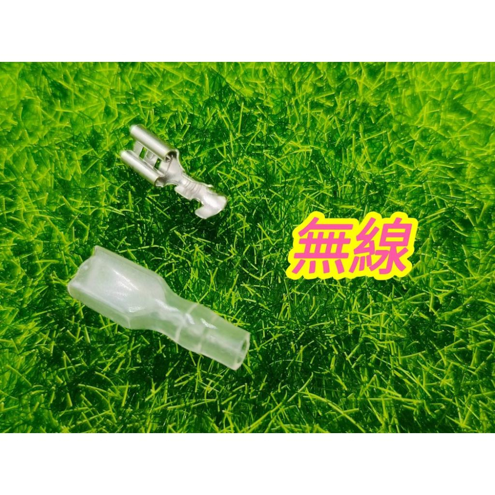 微動接線端子 微動開關端子 插簧端子 接線端子 快拆端子 娃娃機零件 【G55】-細節圖4