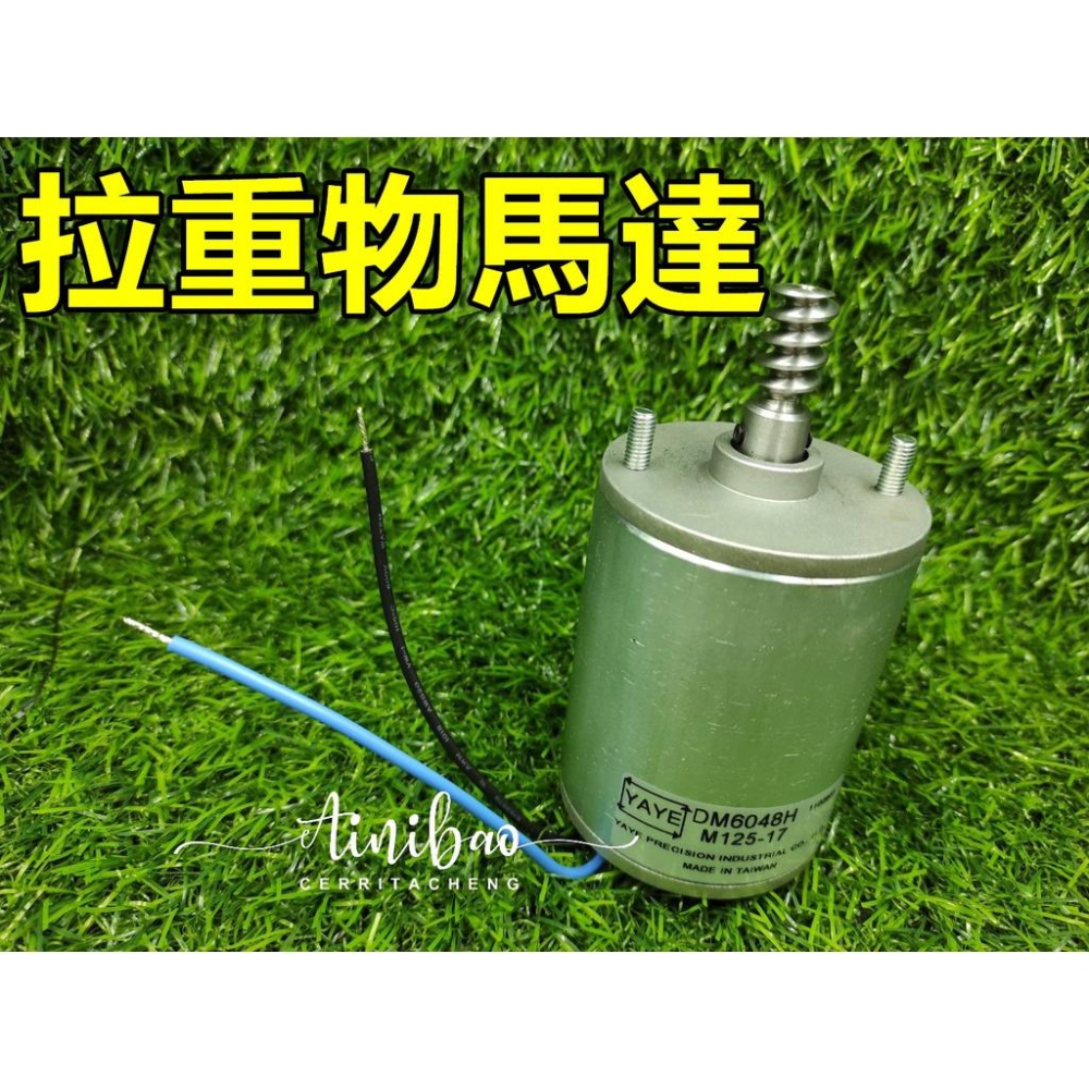 拉重物馬達 天車馬達 娃娃機馬達 台製 軸心加粗 大力士馬達【F06】-細節圖7