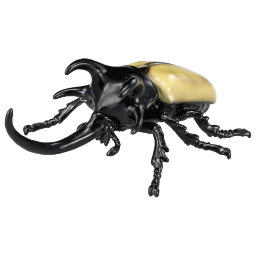 TOMY 多美動物園 ANIA 探索動物系列 AS-41 五角甲蟲 甲蟲模型 AN90852