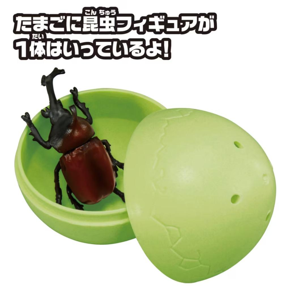 TOMY  多美動物園 ANIA 轉轉大樹遊樂園 昆蟲扭蛋 單顆隨機出貨 (全六款) AN95348-細節圖8