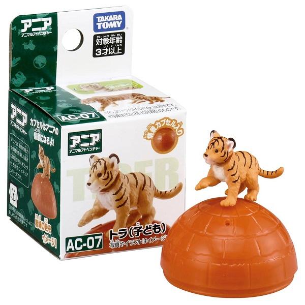 TOMY  多美動物園 ANIA 探索動物系列  AC-07 老虎寶寶  動物模型  AN22368-細節圖2