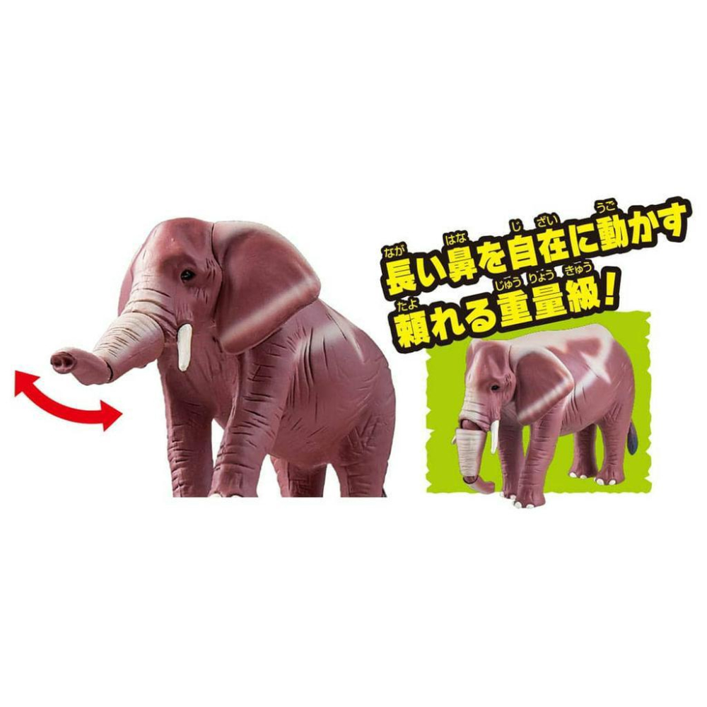TOMY  多美動物園 ANIA 冒險王國系列 大象 ELEPH 動物模型  AN29993-細節圖3