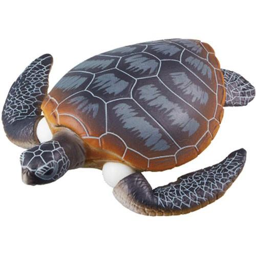 TOMY 多美動物 ANIA  AS-20  綠蠵龜_ AN13761-細節圖3