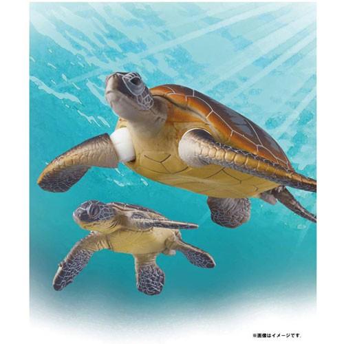 TOMY 多美動物 ANIA  AS-20  綠蠵龜_ AN13761-細節圖4