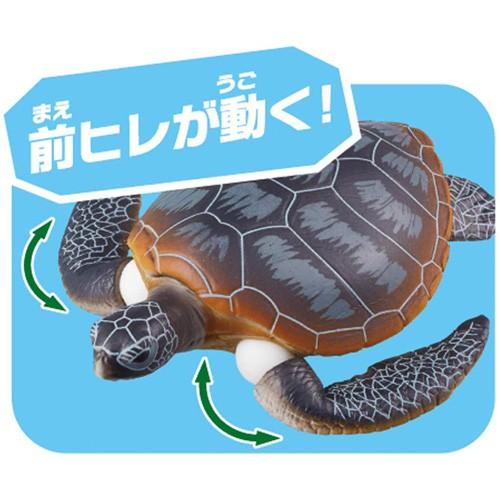 TOMY 多美動物 ANIA  AS-20  綠蠵龜_ AN13761-細節圖6