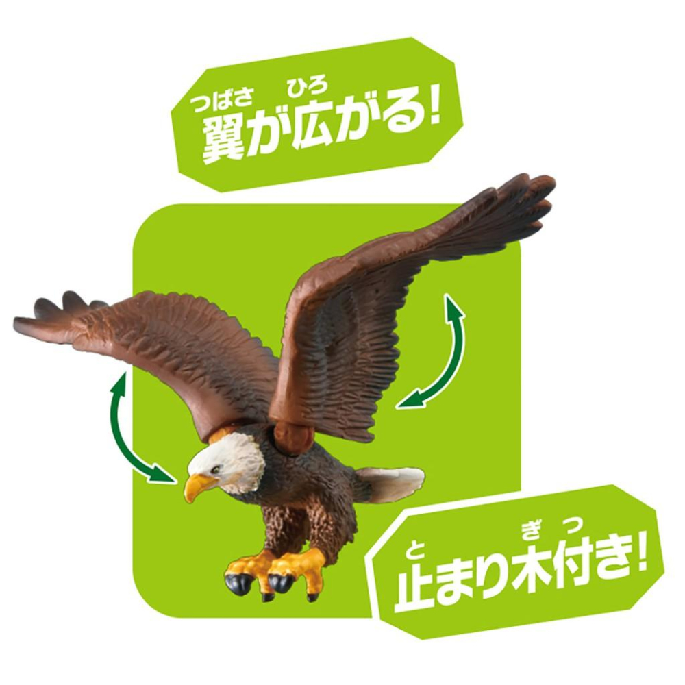 TOMY  多美動物園 ANIA 探索動物系列  AS-05 老鷹 _AN13959-細節圖6