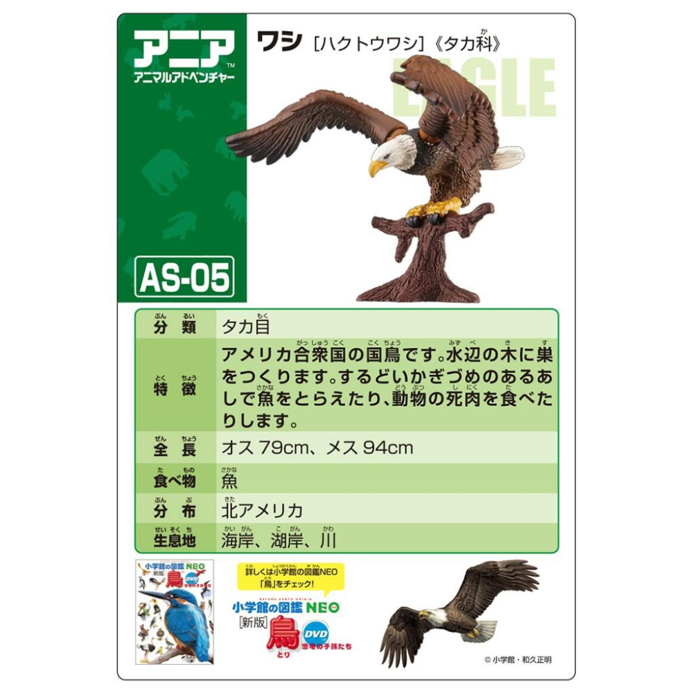 TOMY  多美動物園 ANIA 探索動物系列  AS-05 老鷹 _AN13959-細節圖7