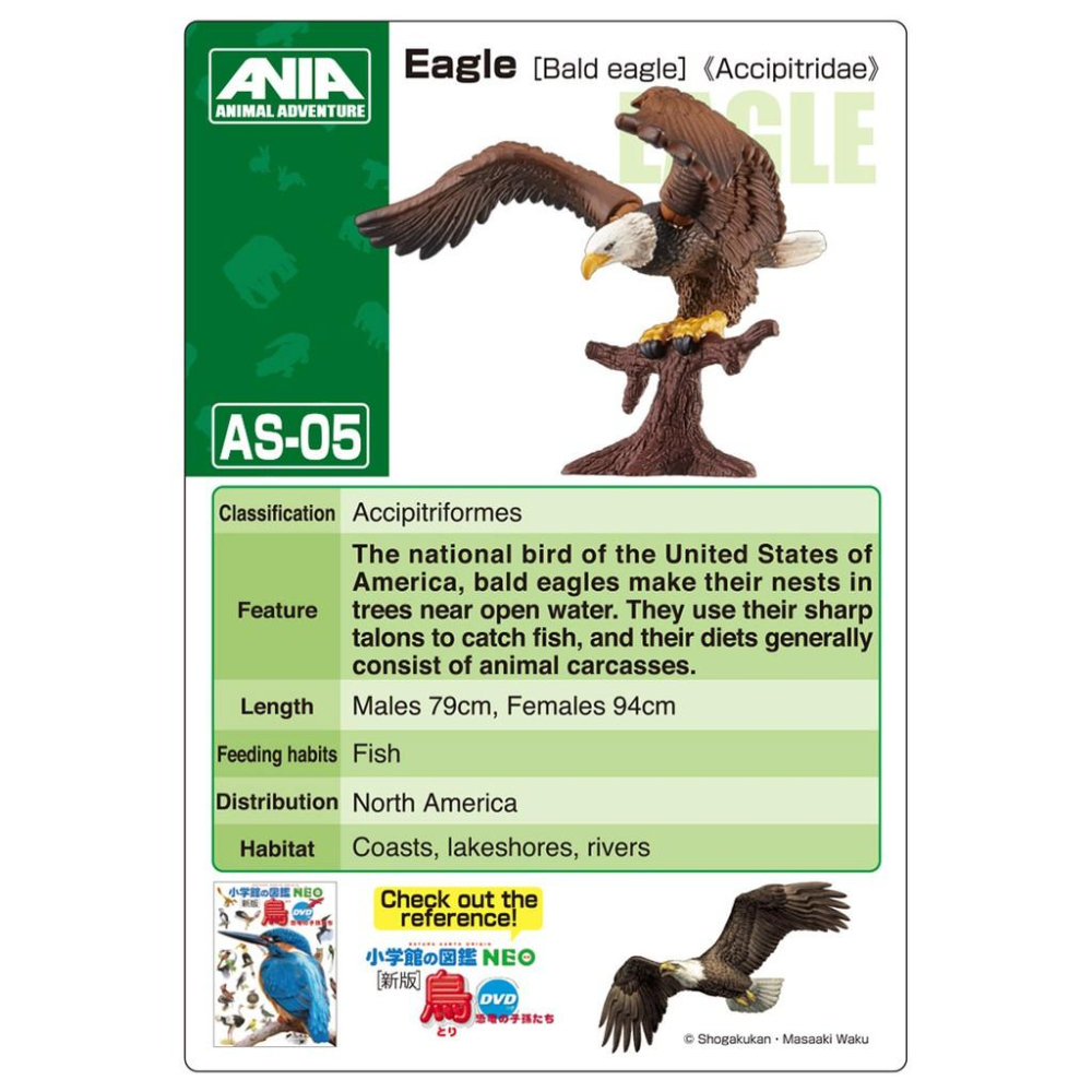 TOMY  多美動物園 ANIA 探索動物系列  AS-05 老鷹 _AN13959-細節圖8