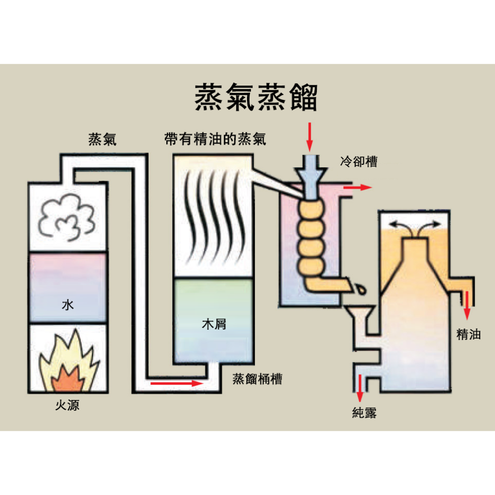 【HINOKING 德麗興業社 】台灣樟木純露 樟樹純露 香樟純露 樟木水-細節圖3