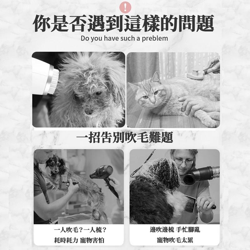 🔥台灣現貨🔥寵物梳子梳毛吹毛梳 吹毛梳 理毛梳 吹風機 寵物清潔美容 寵物吹風機-細節圖2