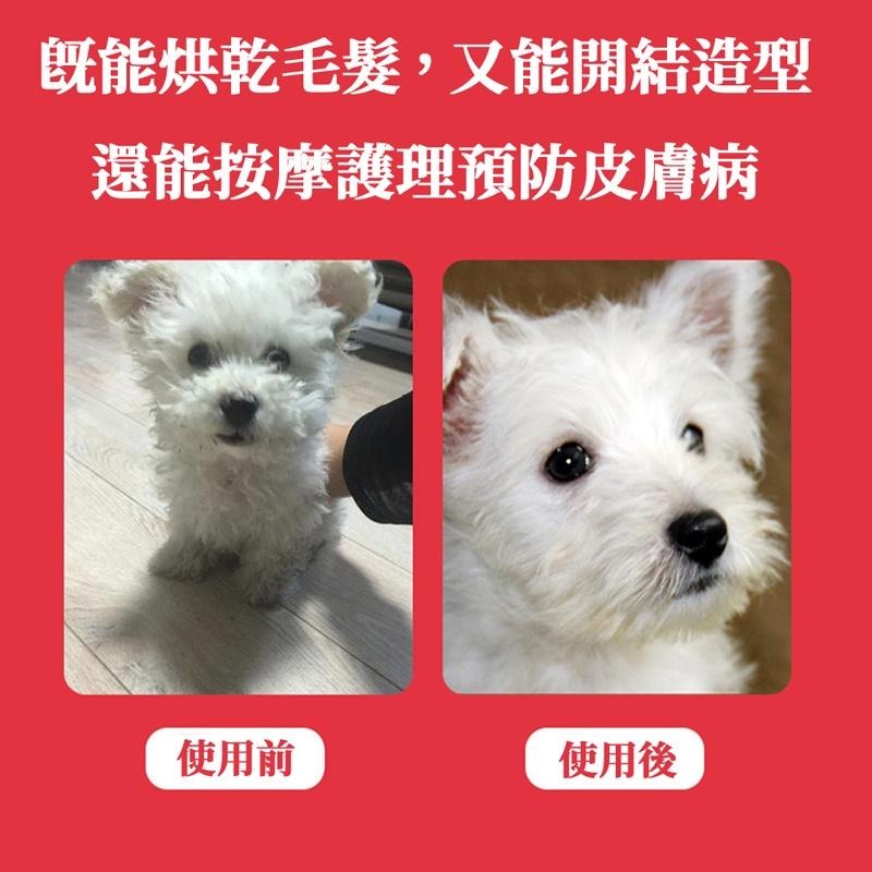 🔥台灣現貨🔥寵物梳子梳毛吹毛梳 吹毛梳 理毛梳 吹風機 寵物清潔美容 寵物吹風機-細節圖3