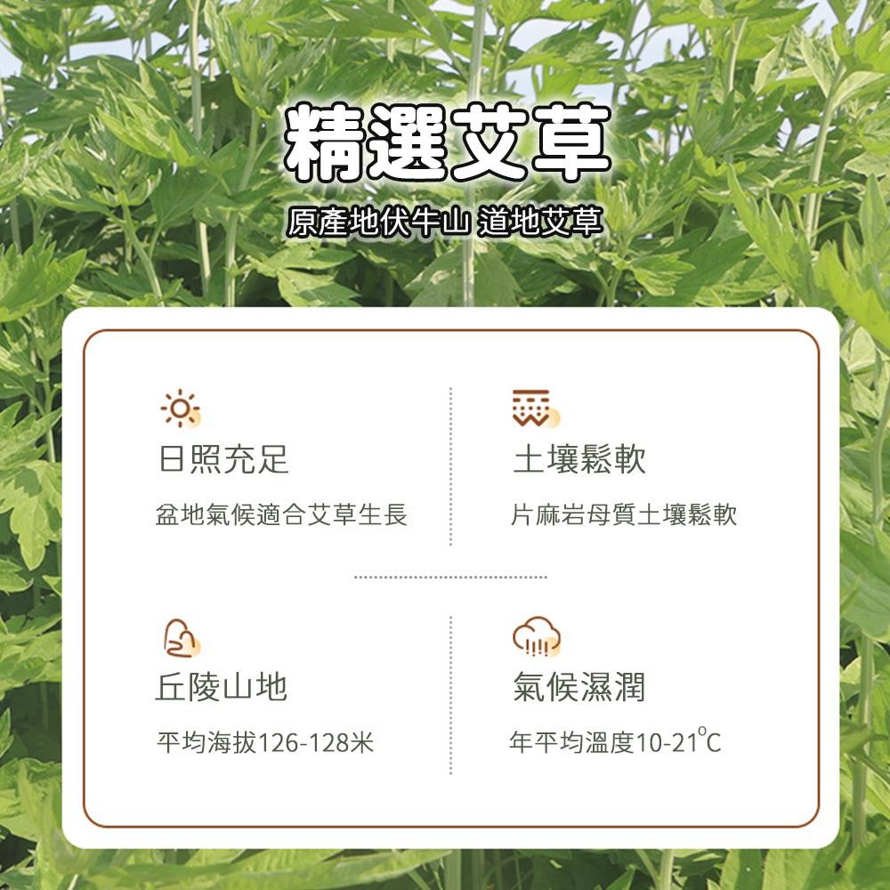 【９９元就免運🔥艾草經絡捶】艾草槌 艾草養生錘 全身按摩錘 肩頸按摩 經絡槌 長柄艾草槌 養生槌-細節圖4