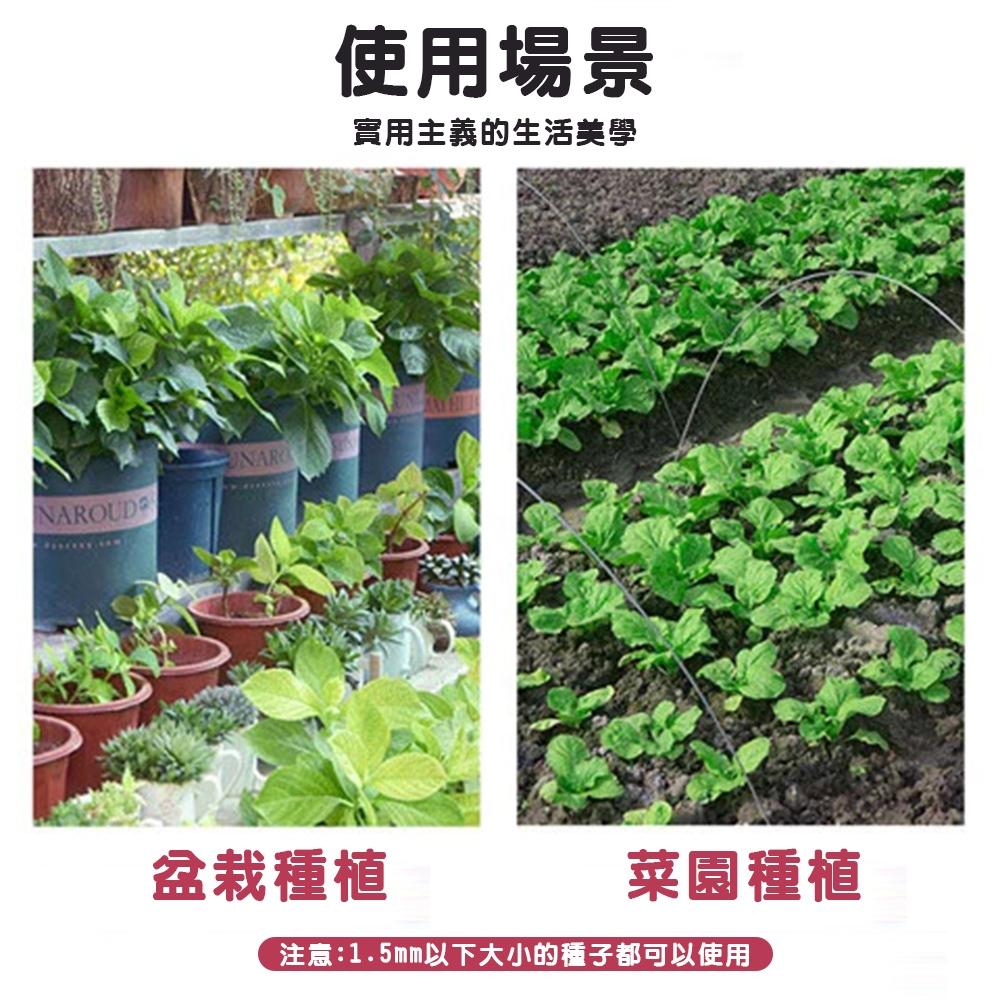 【台灣現貨🔥】針筒式播種器 針筒式 育苗播種神器 家用 蔬菜 花卉 園藝 苗穴盤 小型工具 播種-細節圖3